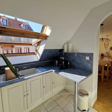 Spacieux Terrasse & Garage Страсбург